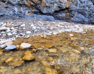 We All Need a Sanctuary